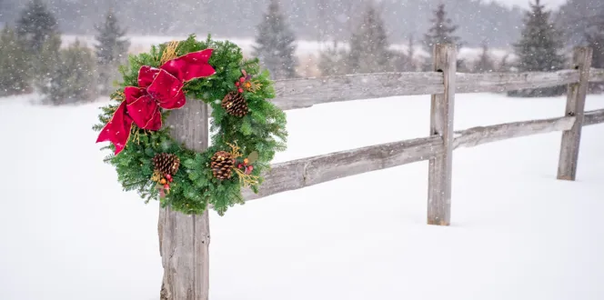 Winter Wreathjpg