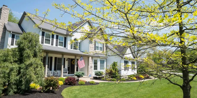 Best And Worst Trees To Plant Near A House