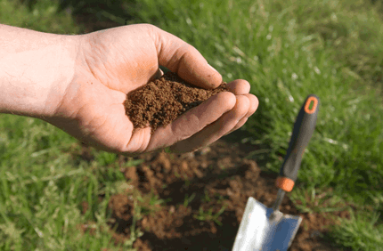 Soil Salinity