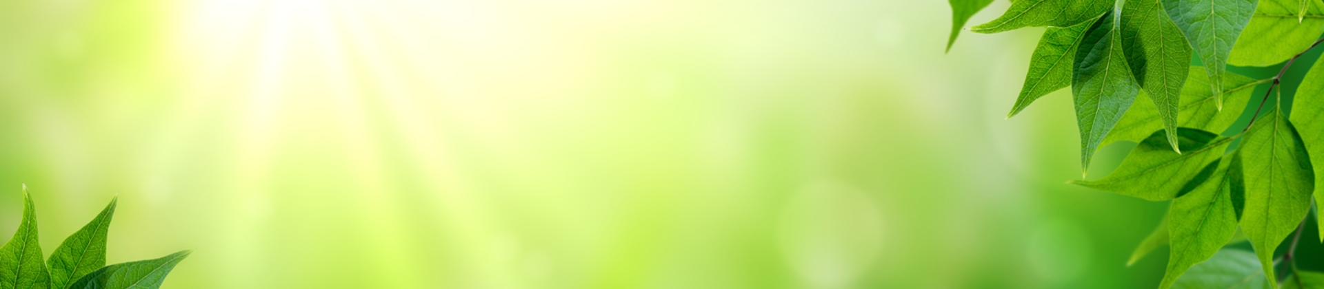 Dig Around and Trench Through Tree Roots | Davey Blog | Davey Tree