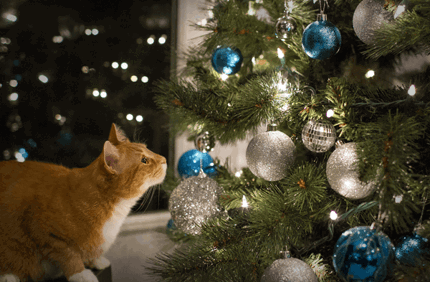 Cat Proof Christmas Tree Ideas