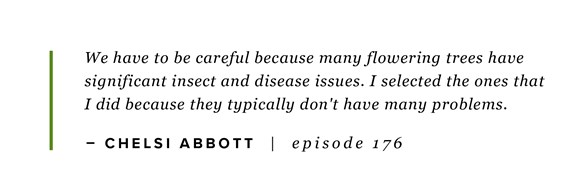 Tips for choosing the right flowering tree