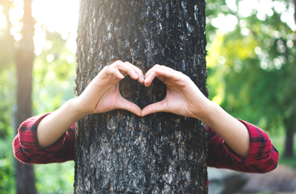 Love Trees Stock 600X400