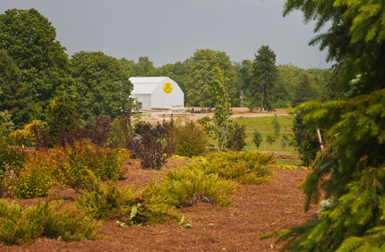 How to Get Rid of Spring Webworms or Eastern Tent Caterpillars | Davey ...