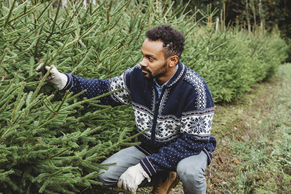 Live Christmas Tree Care