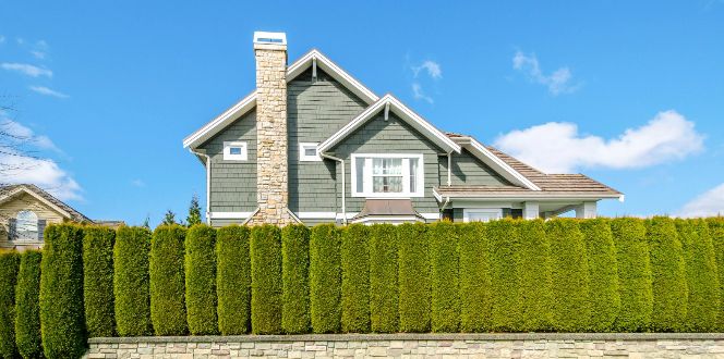 Blog Feature Privacy Tree