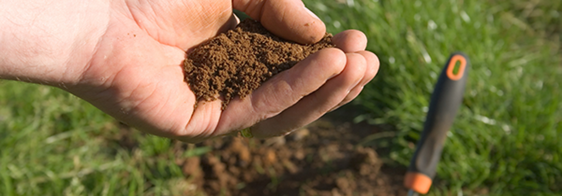 Soil Test Is Your Soil Compacted