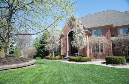 What Trees To Add To Increase Property Value Davey Tree