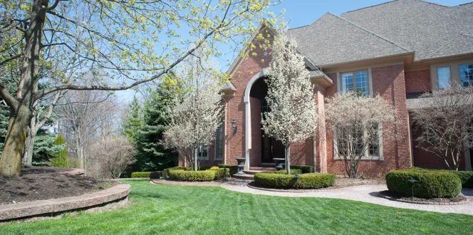What Trees To Add To Increase Property Value Davey Tree