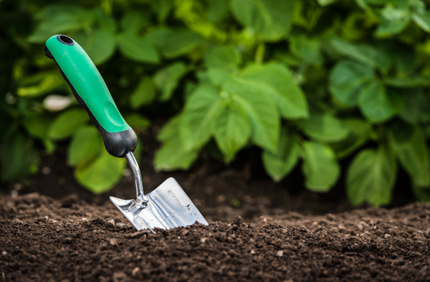Preparing Garden Soil