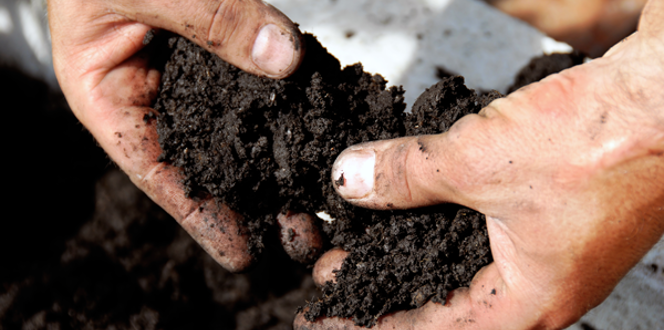 Garden Soil Stock