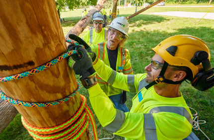 Types Of Tree Support Systems | Davey Tree