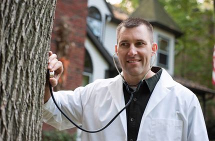 Tree Doctor