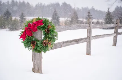 Winter Wreathjpg