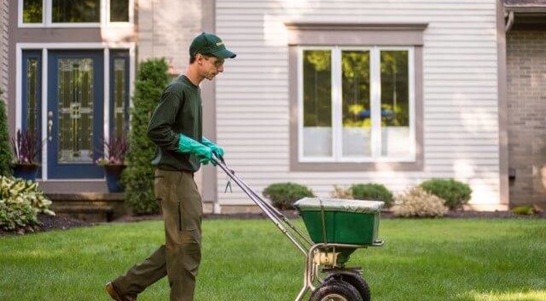 Should You Mow Lawn before Fertilizing in Fall: Expert Tips Revealed