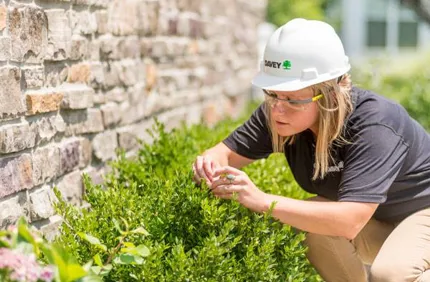 Overwintering Pests