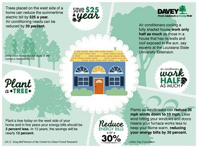 Energy Savings Tree Benefits