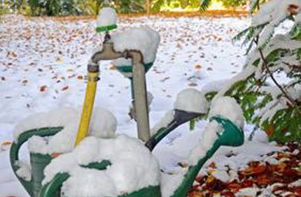 Watering Newly Or Established Trees In Winter Davey Tree
