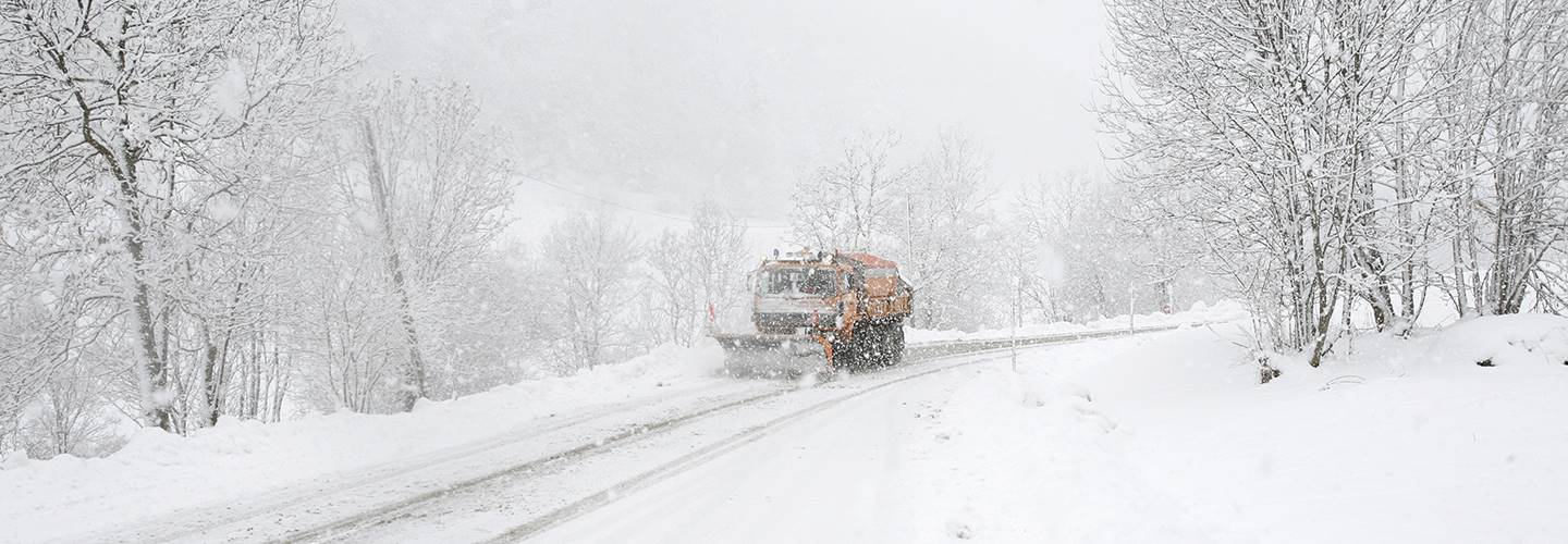How Rock Salt May Be Affecting Your Lawn Davey Tree