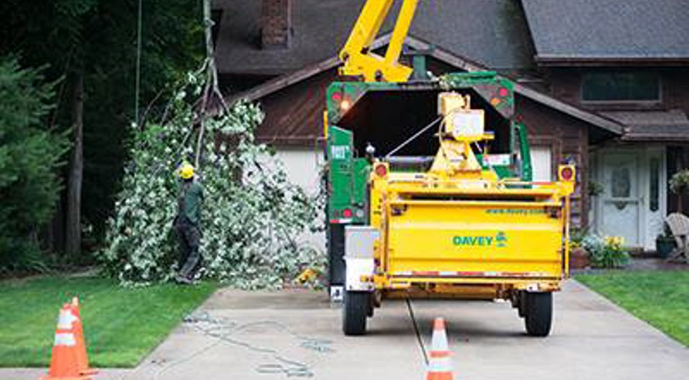 How to Clean Up the Yard and Trees After a Storm | Davey Blog | Davey Tree