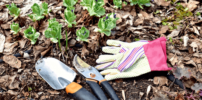 How To Cleanup Your Landscape After A Snowy Winter