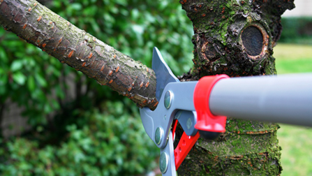 Tool to store cut small branches