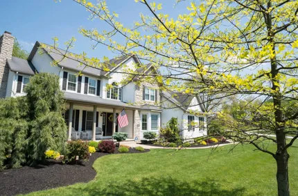 Best And Worst Trees To Plant Near A House