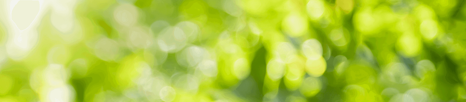 Tree Care Checklist: How to Keep Trees Healthy This Spring | Davey Tree