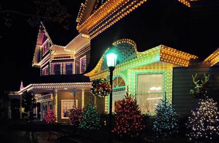 Hanging Christmast Lights On Trees