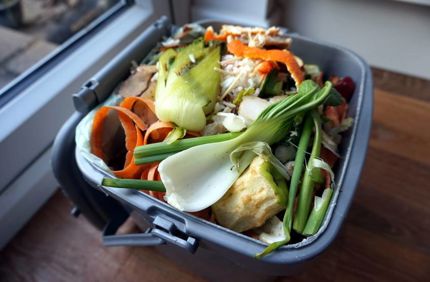 Kitchen Compost Pile