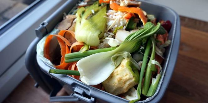 Kitchen Compost Pile