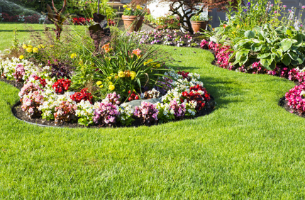 Flowerbed Stock