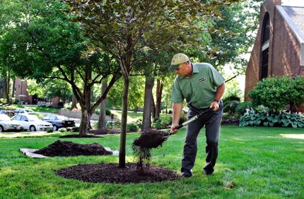 How To Mulch