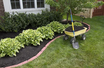 Mulch 2