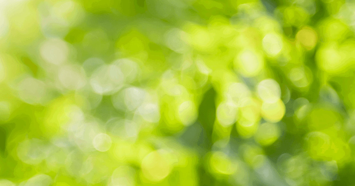 Is Soil Compacted Around Trees and What to Do | Davey Blog | Davey Tree