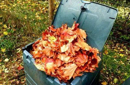Compost Leaves