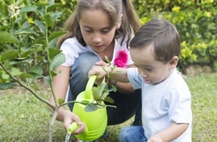 St Louis Tree Planting