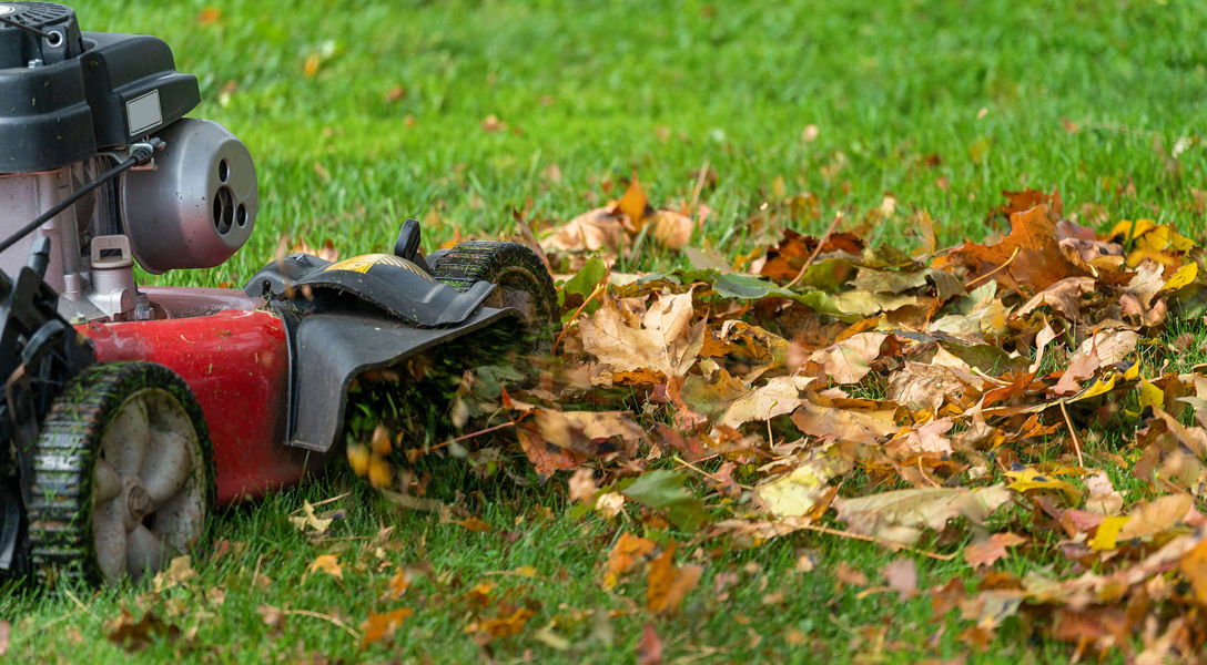 When Should You Stop Mowing Your Lawn Before Winter Davey Tree