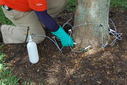 Qconnect Trunk Injection