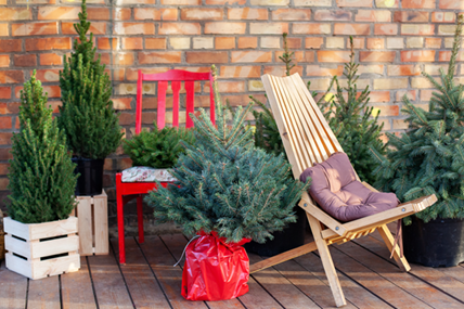 Winter Front Porch Decor Winter Potted Trees
