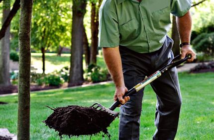 Guy Mulching Edit