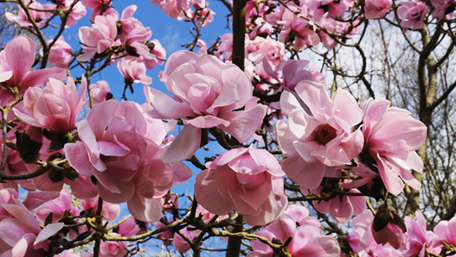 Adobestock 422643427