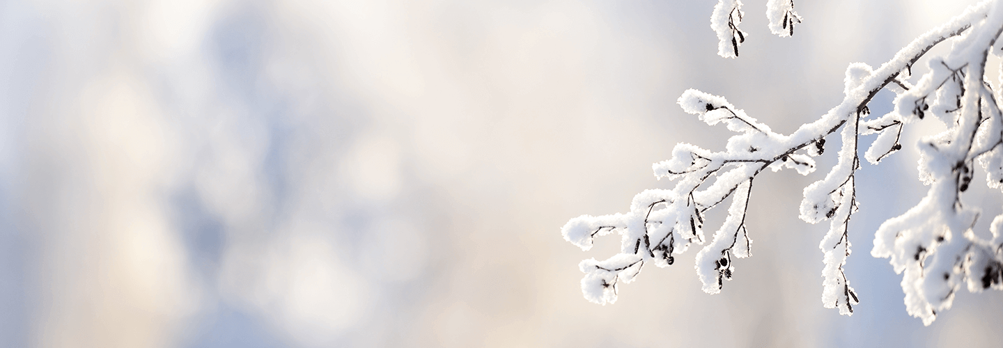 How to Protect Newly Planted Trees and Shrubs from Frost Davey Tree