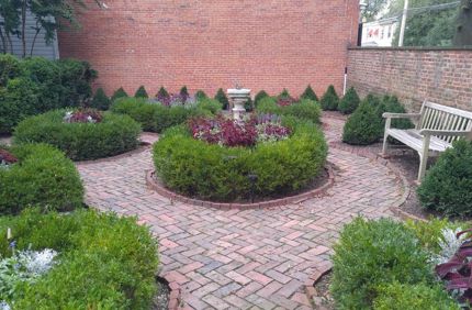 Arasapha Garden Club