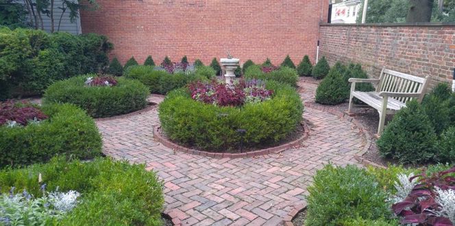 Arasapha Garden Club