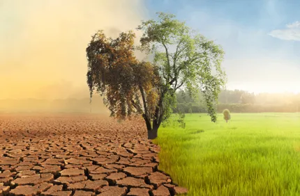 Climate Change Facts
