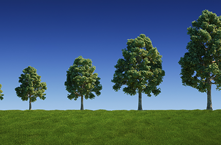 Can Trees Grow Too Fast