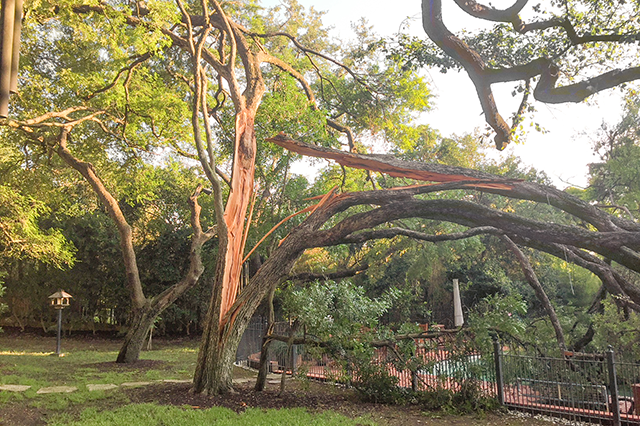 Md Storm Round Up Sideimage 640X426