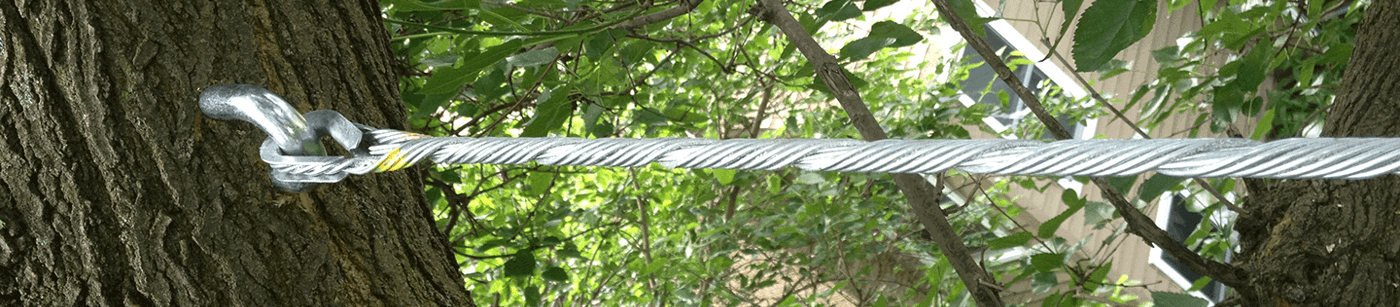 Types Of Tree Support Systems | Davey Tree