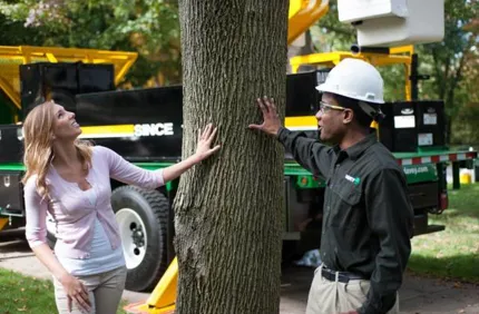 Certified Arborist